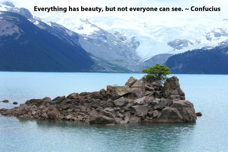 Everything has beauty, but not everyone can see. ~ Confucius